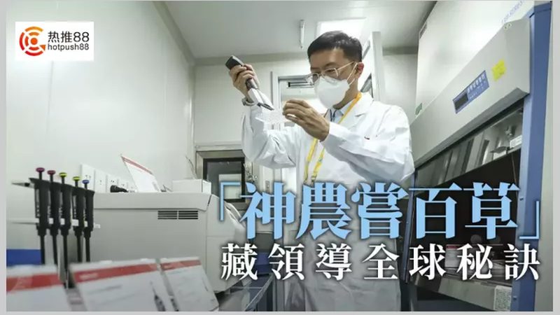 医用细胞工厂与传统培养瓶的较量：谁将引领生物制药未来？**