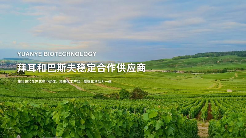 生物科技公司直销，如何甄别优质厂家？**
