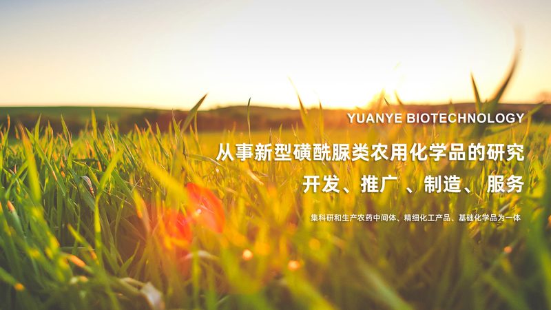生物科技公司区域代理：如何规避合作陷阱**