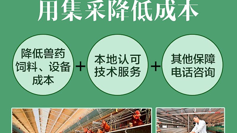 全基因组测序，如何挑选最适合你的服务？**