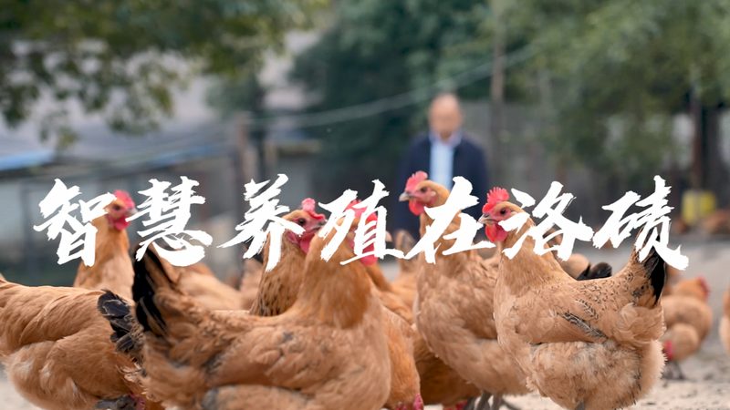 医用细胞工厂洁净度：关键指标与标准解析**
