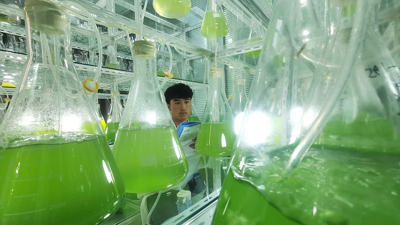 组织培养无菌操作：规范背后的科学**